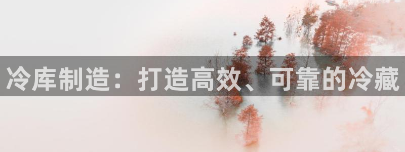 彩神Vll购彩大厅：冷库制造：打造高效、可靠的冷藏