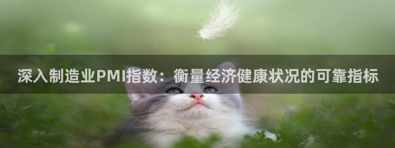 彩神v8平台正规吗可靠吗：深入制造业PMI指数：衡量经济健康