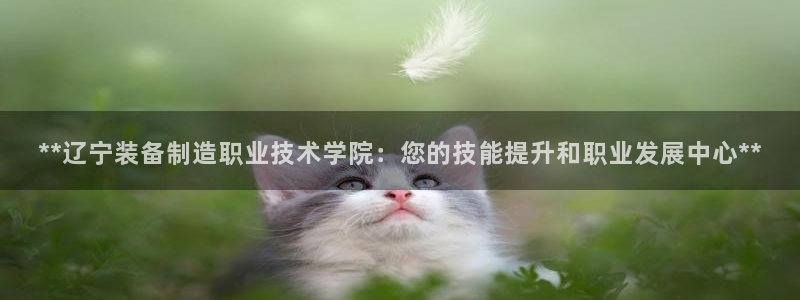 彩神8官网下