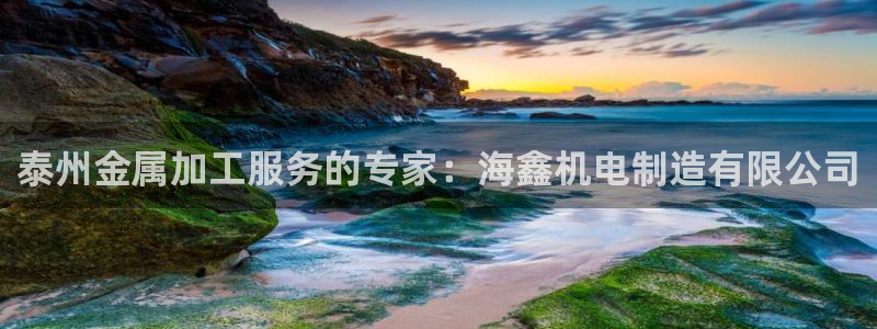 彩神系列平台：泰州金属加工服务的专家：海鑫机电制造有限公司