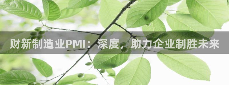彩神是真的吗：财新制造业PMI：深度，助力企业制胜未来