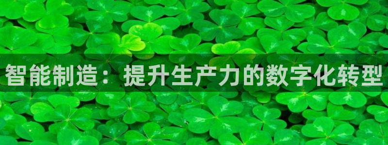 彩神天下专家专栏：智能制造：提升生产力的数字化转型