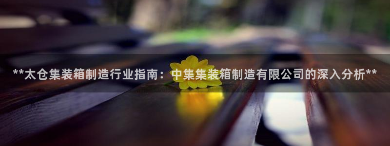 彩神xapp官方网站：**太仓集装箱制造行业指南：中集集装箱制造有限公司的深入分析**