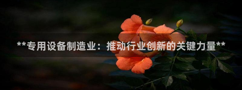 彩神vip购彩大厅下载