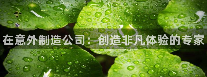 彩神VII官方版：在意外制造公司：创造非凡体验的专家