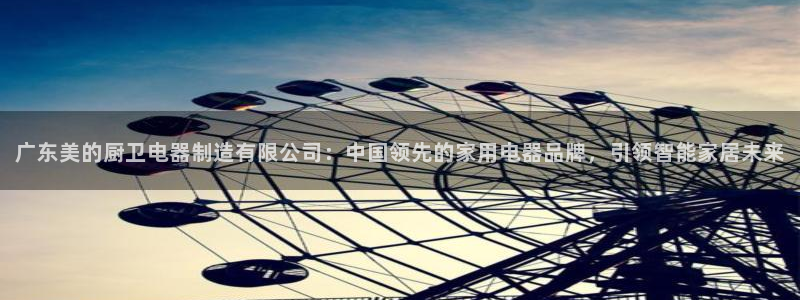 彩神app赚钱是真是假：广东美的厨卫电器制造有限公司：中国领