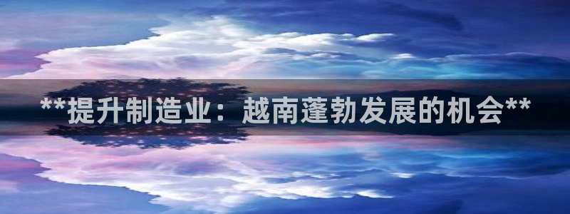 彩神8软件下载：**提升制造业：越南蓬勃发展的机会**
