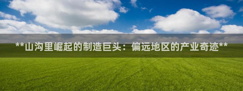 彩神vl购彩大厅：**山沟里崛起的制造巨头：偏远地区的产业奇