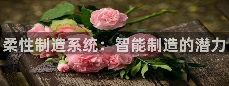 彩神ix可靠吗：柔性制造系统：智能制造的潜力