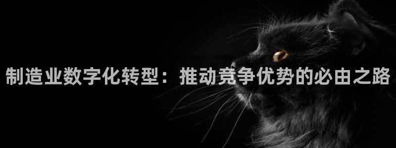 彩神是正规平台吗安全吗