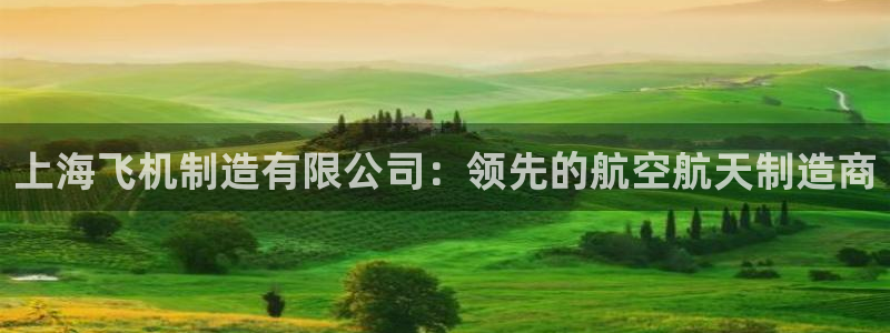 彩神ⅴll用户登录：上海飞机制造有限公司：领先的航空航天制造商