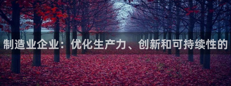 彩神通官方网：制造业企业：优化生产力、创新和可持续性的