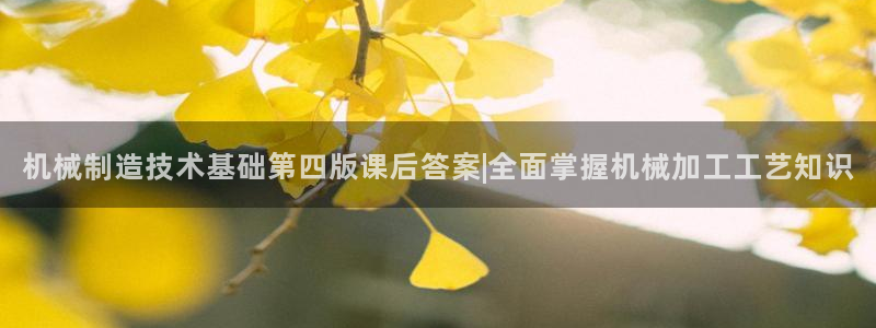 彩神vip购彩大厅在哪：机械制造技术基础第四版课后答案|全面