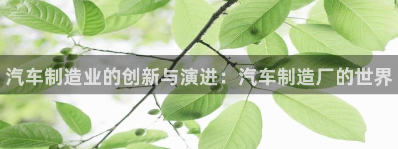 彩神vi官网版：汽车制造业的创新与演进：汽车制造厂的世界