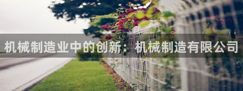 彩神v8下载：机械制造业中的创新：机械制造有限公司