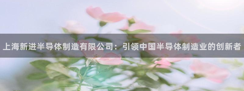 彩神8最新版下载：上海新进半导体制造有限公司：引领中国半导体制造业的创新者