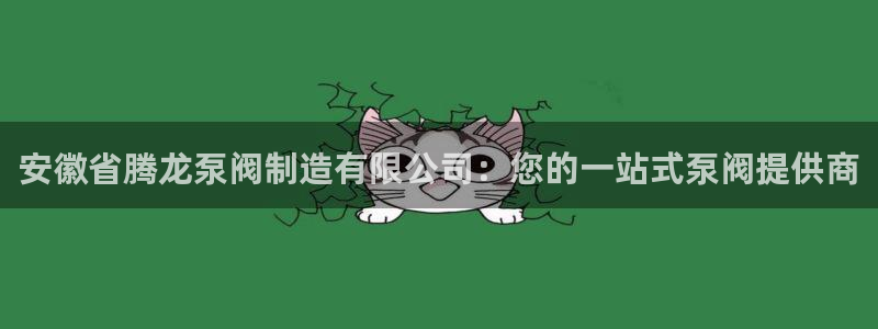 彩神平台能提现吗：安徽省腾龙泵阀制造有限公司：您的一站式泵阀提供商