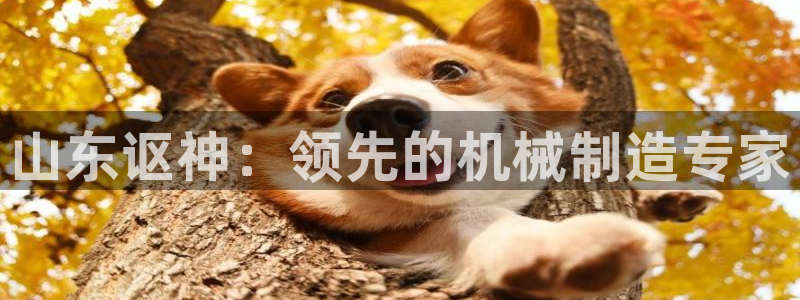 彩神VI首页：山东讴神：领先的机械制造专家