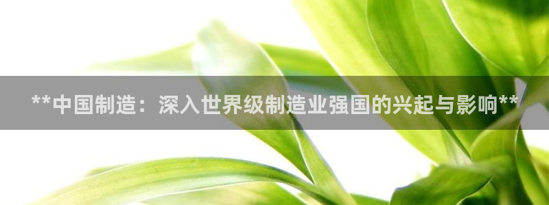 在彩神网输了六万多怎么拿回来：**中国制造：深入世界级制造业强国的兴起与影响**