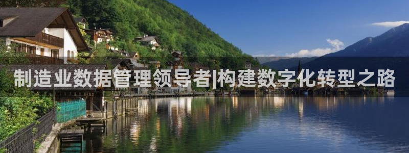 下载彩神通关注金码：制造业数据管理领导者|构建数字化转型之路