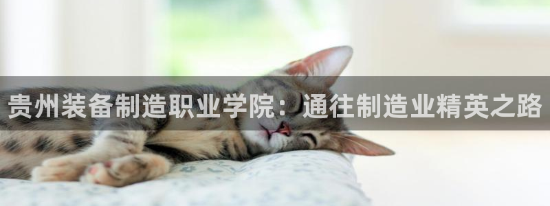 v彩神88iii：贵州装备制造职业学院：通往制造业精英之路