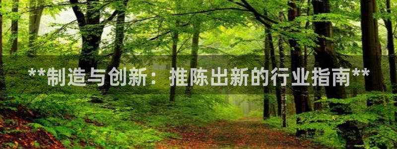 彩神盈利图片：**制造与创新：推陈出新的行业指南**