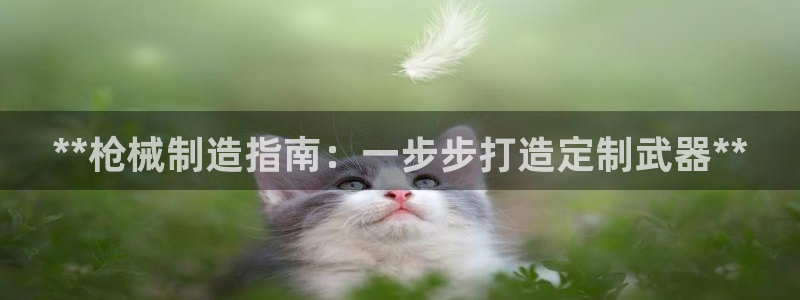 新版彩神v8登录不了：**枪械制造指南：一步步打造定制武器*