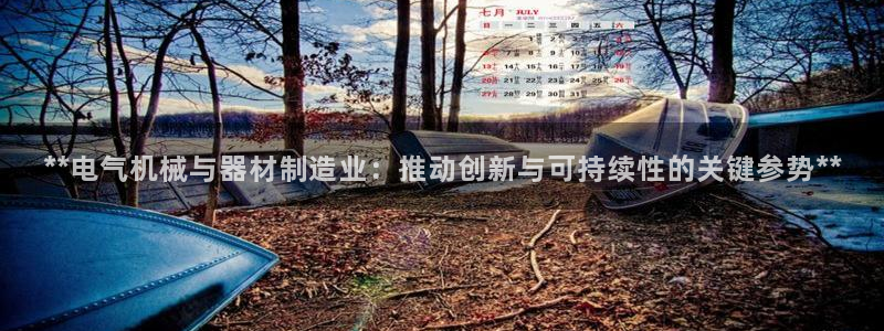 彩神vlll游戏特色：**电气机械与器材制造业：推动创新与可持续性的关键参势**