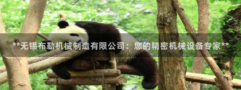 彩神是怎样一个平台赚钱的：**无锡布勒机械制造有限公司：您的精密机械设备专家**