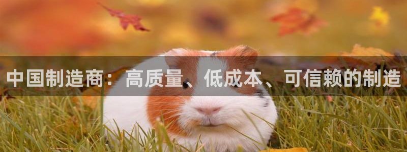彩神赢钱了吗：中国制造商：高质量、低成本、可信赖的制造