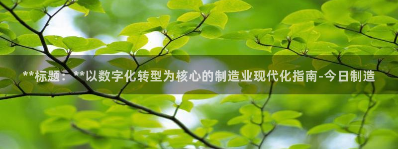 彩神v1破解器：**标题：**以数字化转型为核心的制造业现代