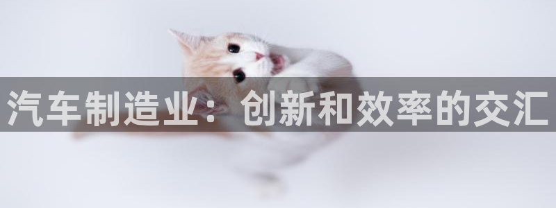 新版彩神v8登录不了：汽车制造业：创新和效率的交汇