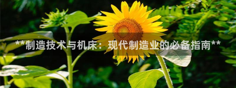 彩神vⅲ下载安装：**制造技术与机床：现代制造业的必备指南**
