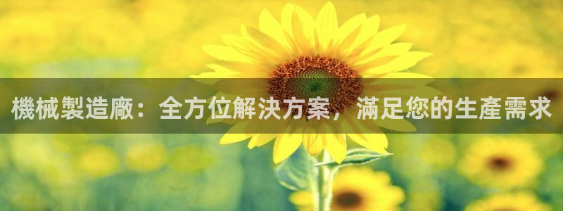 彩神8官网版是正规的吗：機械製造廠：全方位解決方案，滿足您的生產需求