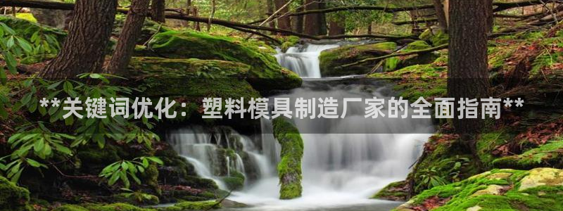 彩神用户登录：**关键词优化：塑料模具制造厂家的全面指南**