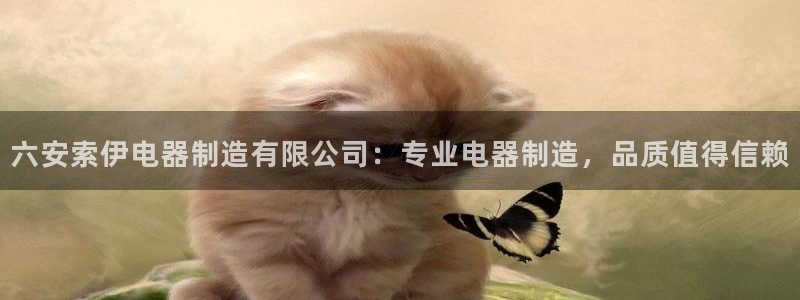 彩神v8手机客户端怎么下载：六安索伊电器制造有限公司：专业电器制造，品质值得信赖