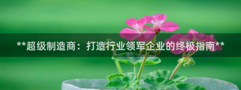 彩神v8下载app5.0：**超级制造商：打造行业领军企业的