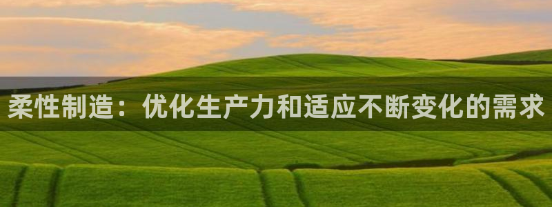 彩神V集团公司：柔性制造：优化生产力和适应不断变化的需求