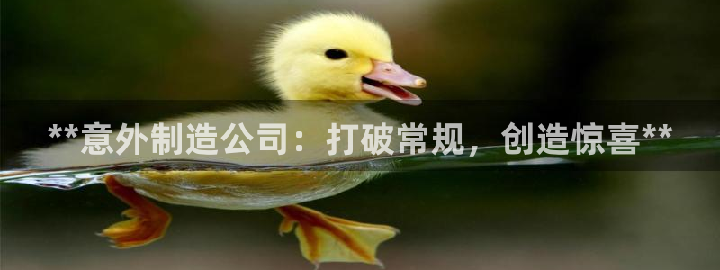 彩神8软件下载：**意外制造公司：打破常规，创造惊喜**