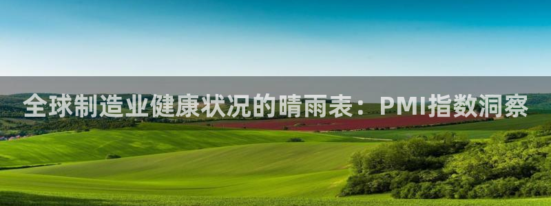 彩神app赚钱是真是假：全球制造业健康状况的晴雨表：PMI指数洞察