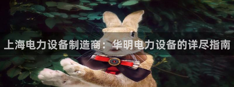 彩神v8是真的挣钱吗安全吗：上海电力设备制造商：华明电力设备的详尽指南