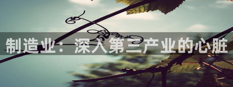 彩神平台能提现吗：制造业：深入第三产业的心脏