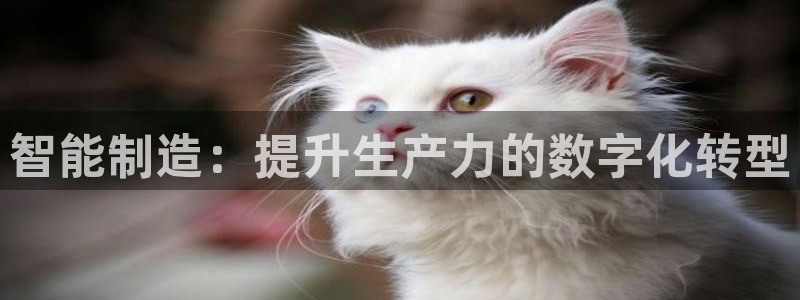 彩神官方网站登录是多少：智能制造：提升生产力的数字化转型