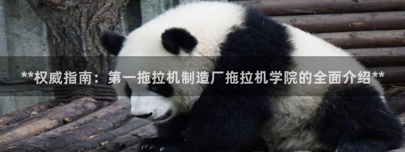 大发彩神最高邀请码：**权威指南：第一拖拉机制造厂拖拉机学院的全面介绍**