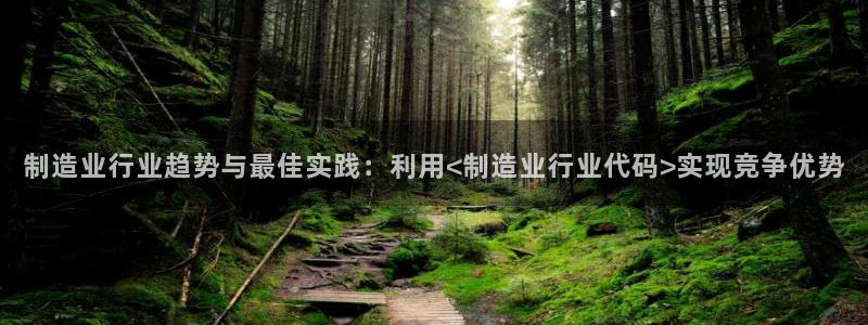 彩神iv是正规平台吗?：制造业行业趋势与最佳实践：利用<制造业行业代码>实现竞争优势