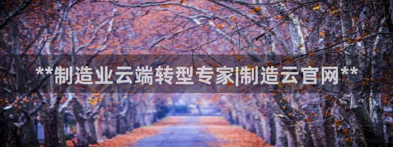 彩神vlll(中国)百度百科：**制造业云端转型专家|制造云官网**