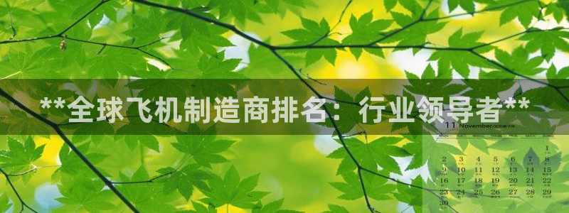 彩神旗下有哪些平台：**全球飞机制造商排名：行业领导者**