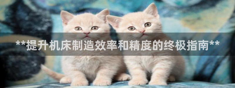 彩神v8下载app5.0：**提升机床制造效率和精度的终极指南**