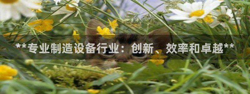 彩神VII官方版：**专业制造设备行业：创新、效率和卓越**