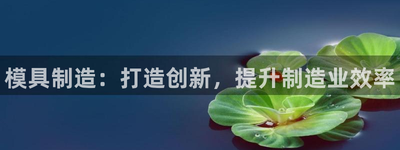 彩神iv真的能赚钱吗：模具制造：打造创新，提升制造业效率